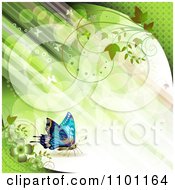 Clipart Diagonal Green Streaks Of Light With Vines And Butterflies Royalty Free Vector Illustration