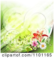 Clipart Diagonal Streaks Of Green Light With Butterflies Vines And Flowers Royalty Free Vector Illustration