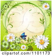 Poster, Art Print Of Circular Clover Patterned Vine Frame With A Butterfly And Daisies