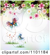 Poster, Art Print Of Butterflies With Blossoms And Clovers On Blue