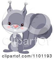 Happy Cute Gray Squirrel