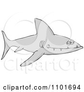 Poster, Art Print Of Sinister Shark With Sharp Teeth