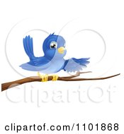 Poster, Art Print Of Happy Blue Bird Pointing On A Bare Tree Branch