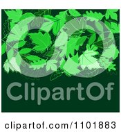 Poster, Art Print Of Green Leaf Background With Copyspace