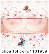 Clipart Spring Butterfly Background With A Pink Clover Text Bar Royalty Free Vector Illustration