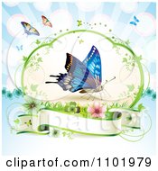 Poster, Art Print Of Blue Butterfly Over A Blank Banner Against Blue