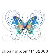 Poster, Art Print Of Ornate Blue Butterfly On White 1