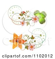 Poster, Art Print Of Shamrock Daisy And Lily Design Elements