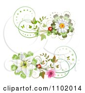 Poster, Art Print Of Ladybug Daisy And Lily Design Elements