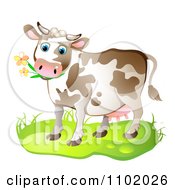 Poster, Art Print Of Cow Eating Flowers