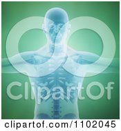 Clipart 3d Man With His Skeleton Revealed Over Green Royalty Free CGI Illustration by Mopic