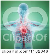 Poster, Art Print Of 3d Man With His Circulatory System Revealed Over Green