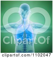 Clipart 3d Man With His Respiratory System Revealed Over Green Royalty Free CGI Illustration