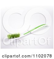 Clipart 3d Grassy Tooth Brush 2 Royalty Free CGI Illustration