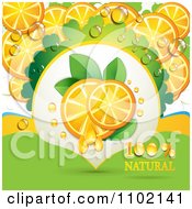 Clipart Natural Orange Slices Royalty Free Vector Illustration