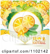Clipart Natural Orange Slices On White 3 Royalty Free Vector Illustration