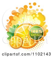 Clipart Natural Orange Slices Over Halftone And Circles On White 6 Royalty Free Vector Illustration