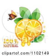 Poster, Art Print Of Natural Orange Slices And A Butterfly On White 1