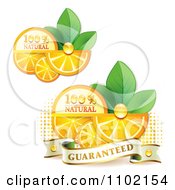 Natural Orange Slices Over Halftone And Circles On White 3