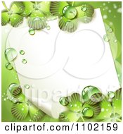 Poster, Art Print Of Blank Note And Dewy Shamrock St Patricks Day Background 2