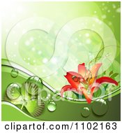 Clipart Green Dewy Shamrock St Patricks Day Background With Sunlight And A Lily Royalty Free Vector Illustration