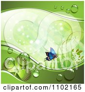 Poster, Art Print Of St Patricks Day Background Of A Blue Butterfly Grass Sunlight Shamrocks And Dew 1