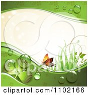 Poster, Art Print Of St Patricks Day Background Of An Orange Butterfly Grass Sunlight Shamrocks And Dew 1