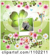 Clipart Butterfly Pot Of Gold And Clover St Patricks Day Background 2 Royalty Free Vector Illustration