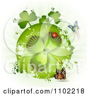 Clipart St Patricks Day Shamrock With Butterflies And A Ladybug Royalty Free Vector Illustration