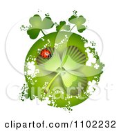 Poster, Art Print Of St Patricks Day Shamrock With A Ladybug