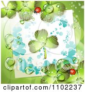 Clipart St Patricks Day Background With Dewy Shamrocks Ladybugs And Paper Royalty Free Vector Illustration