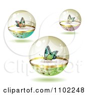 Clipart Colorful Butterflies In Protective Spheres Royalty Free Vector Illustration