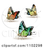 Clipart Colorful Butterflies 1 Royalty Free Vector Illustration