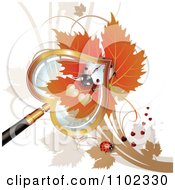Clipart Magnifying Glass Over A White Heart Spotted Ladybug 2 Royalty Free Vector Illustration