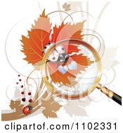 Poster, Art Print Of Magnifying Glass Over A White Heart Spotted Ladybug 1