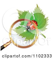 Poster, Art Print Of Magnifying Glass Over A Heart Spotted Ladybug