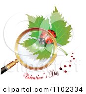 Poster, Art Print Of Valentines Day Text Under A Magnifying Glass Over A Heart Spotted Ladybug 1