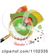 Poster, Art Print Of Valentines Day Text Under A Magnifying Glass Over A Heart Spotted Ladybug 2