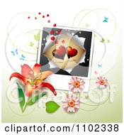 Poster, Art Print Of Butterfly Daisy Lily And Heart Picture Valentines Day Background