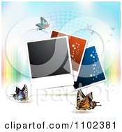 Poster, Art Print Of Instant Photo And Butterfly Background 6