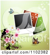 Instant Photo And Butterfly Background 7