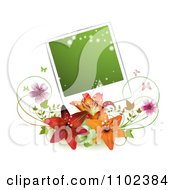 Poster, Art Print Of Green Instant Photo Over Lilies Blossoms And Butterflies