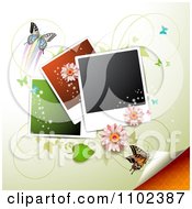 Poster, Art Print Of Butterfly And Instant Photo Background 2