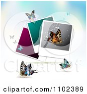 Poster, Art Print Of Instant Photo And Butterfly Background 3