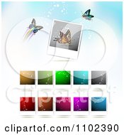 Poster, Art Print Of Instant Photo And Butterfly Background 4