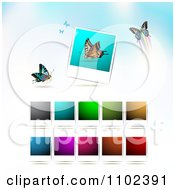 Poster, Art Print Of Instant Photo And Butterfly Background 5