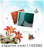 Poster, Art Print Of Instant Photo And Butterfly Background 1
