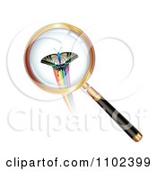 Poster, Art Print Of Round Magnifying Glass Over A Butterfly 1