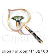 Clipart Heart Magnifying Glass Over A Butterfly Royalty Free Vector Illustration