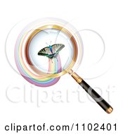 Clipart Round Magnifying Glass Over A Butterfly 2 Royalty Free Vector Illustration by merlinul